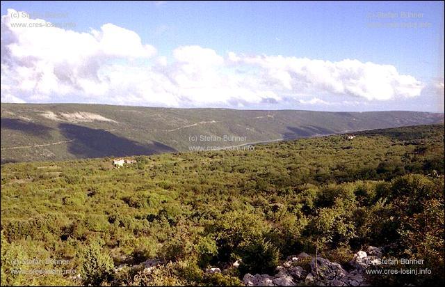 bewaldete Hgel auf Cres