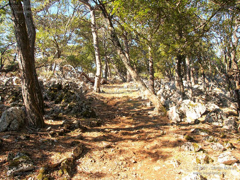 der Gebirgszug des Osorscica bei Nerezine / Osor auf der Insel Losinj